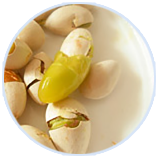 9001诚信金沙(中国)品牌公司