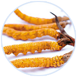 9001诚信金沙(中国)品牌公司